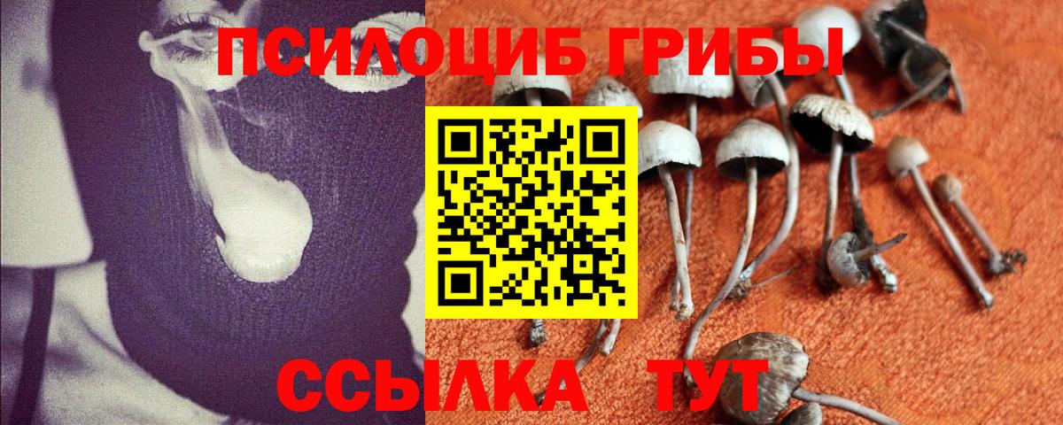 магазин  наркотиков  Вход с VPN  Гулькевичи  Галлюциногенные грибы Psilocybe 